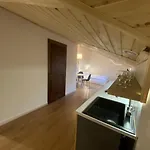 Appartement центр львова вулиця лесі українки 19 Lviv