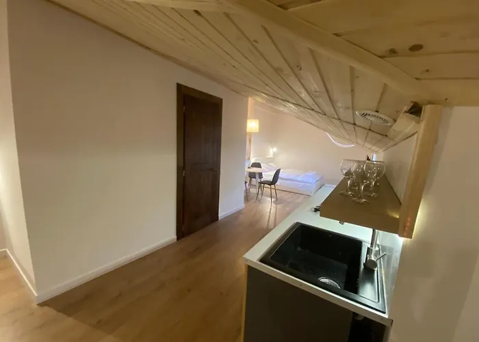 公寓 центр львова вулиця лесі українки 19 利沃夫