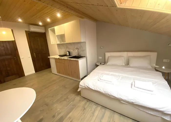 公寓 центр львова вулиця лесі українки 19 利沃夫