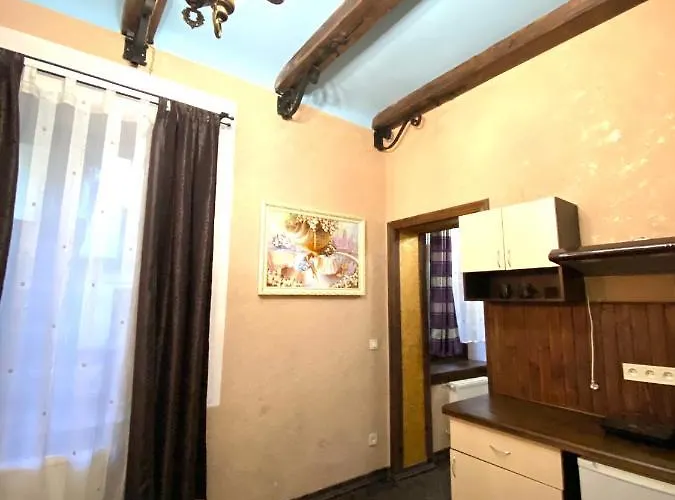 центр львова вулиця лесі українки 19 アパート *