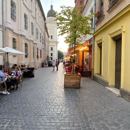 центр львова вулиця лесі українки 19 Lemberg
