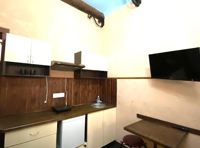 центр львова вулиця лесі українки 19 דירה לבוב